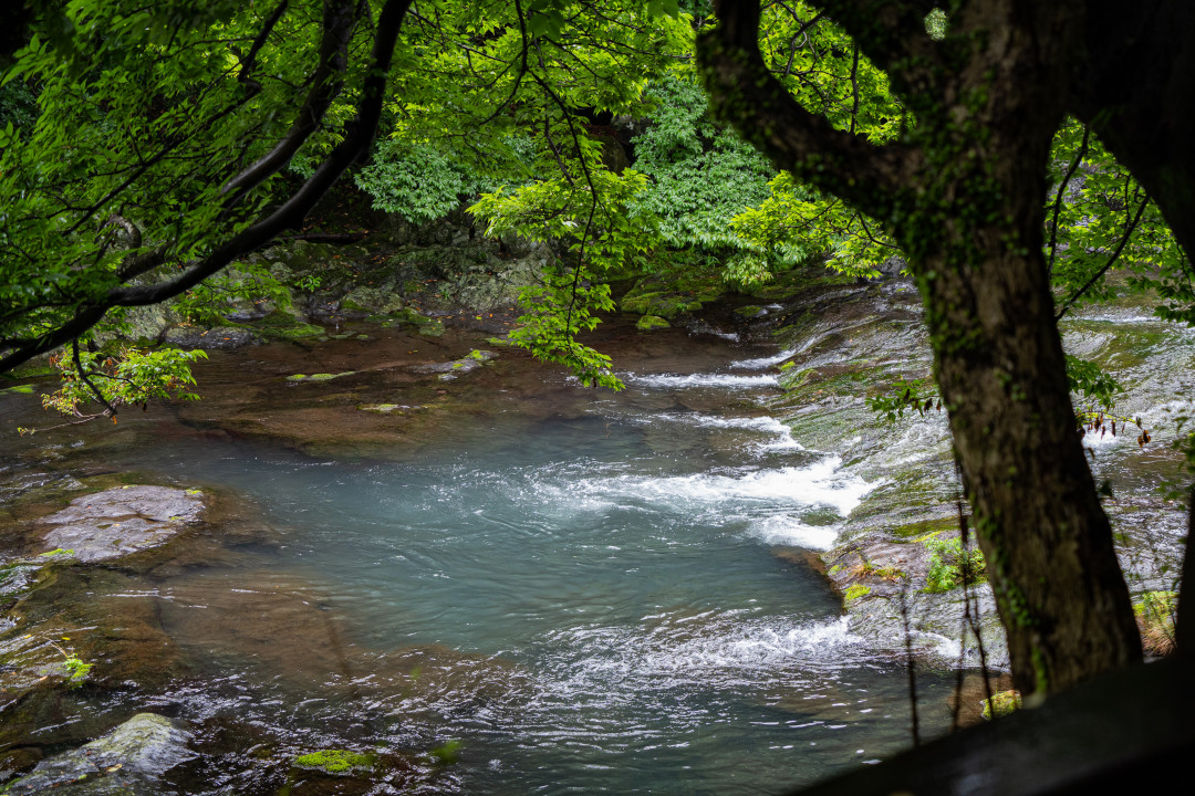 중문 천제연 폭포 탐방로