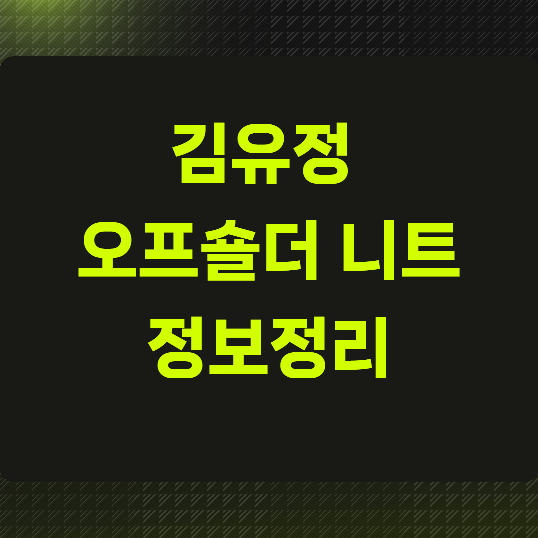 김유정 오프숄더 니트 정보 정리