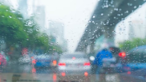 오감을 깨우는 비의 기록 : 촉촉한 강우량부터 깊은 흙내음, 평온한 빗소리까지