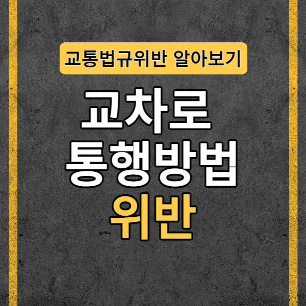 교통법규위반 알아보기 메인화면