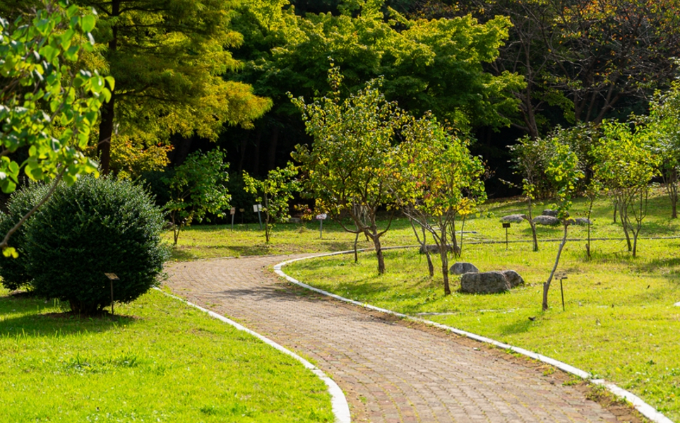 노을/명소/포항/핫플레이스/환호공원/스페이스/워크