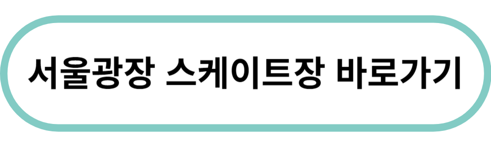 겨울축제 서울광장 스케이트장