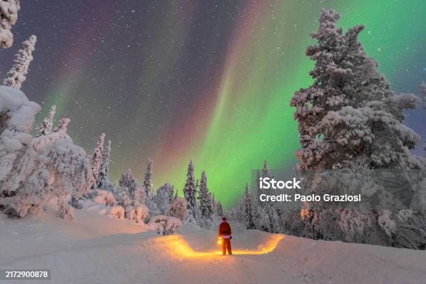 핀란드의 전통 요리: 북유럽의 간단하면서도 맛있는 음식들