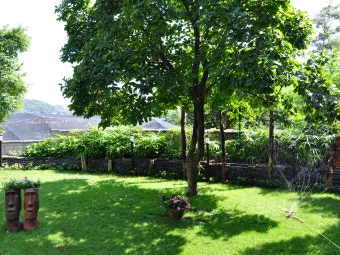 관수 방식 비교 드립 점적 스프링클러 살수장치 선택_18