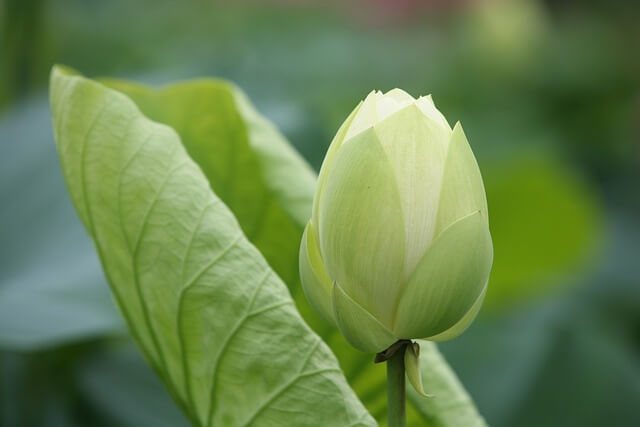 농업경영체 등록대상&amp;#44; 등록신청&amp;#44; 등록서류