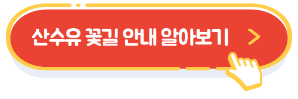 산수유꽃길알아보기