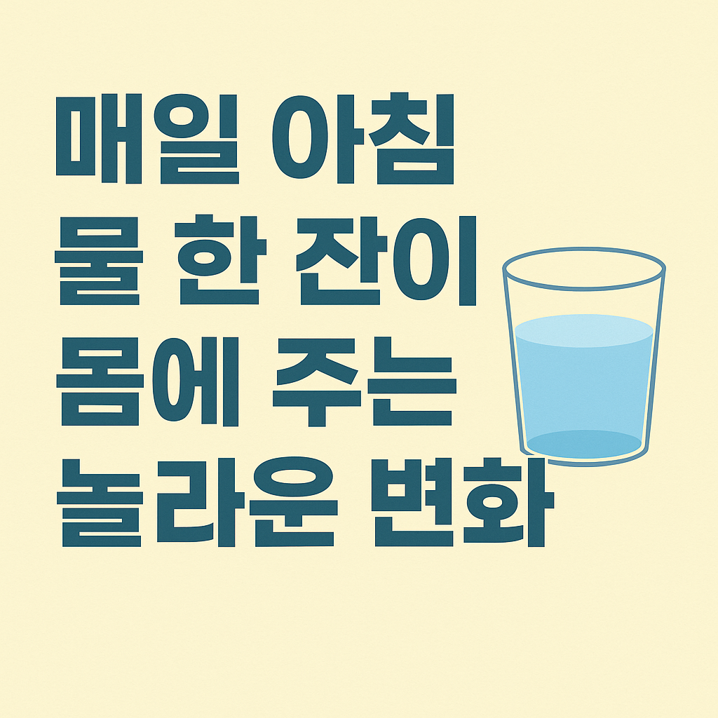 매일 아침 물먹기