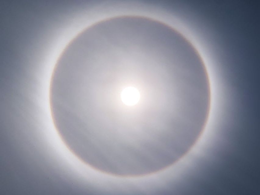 선독