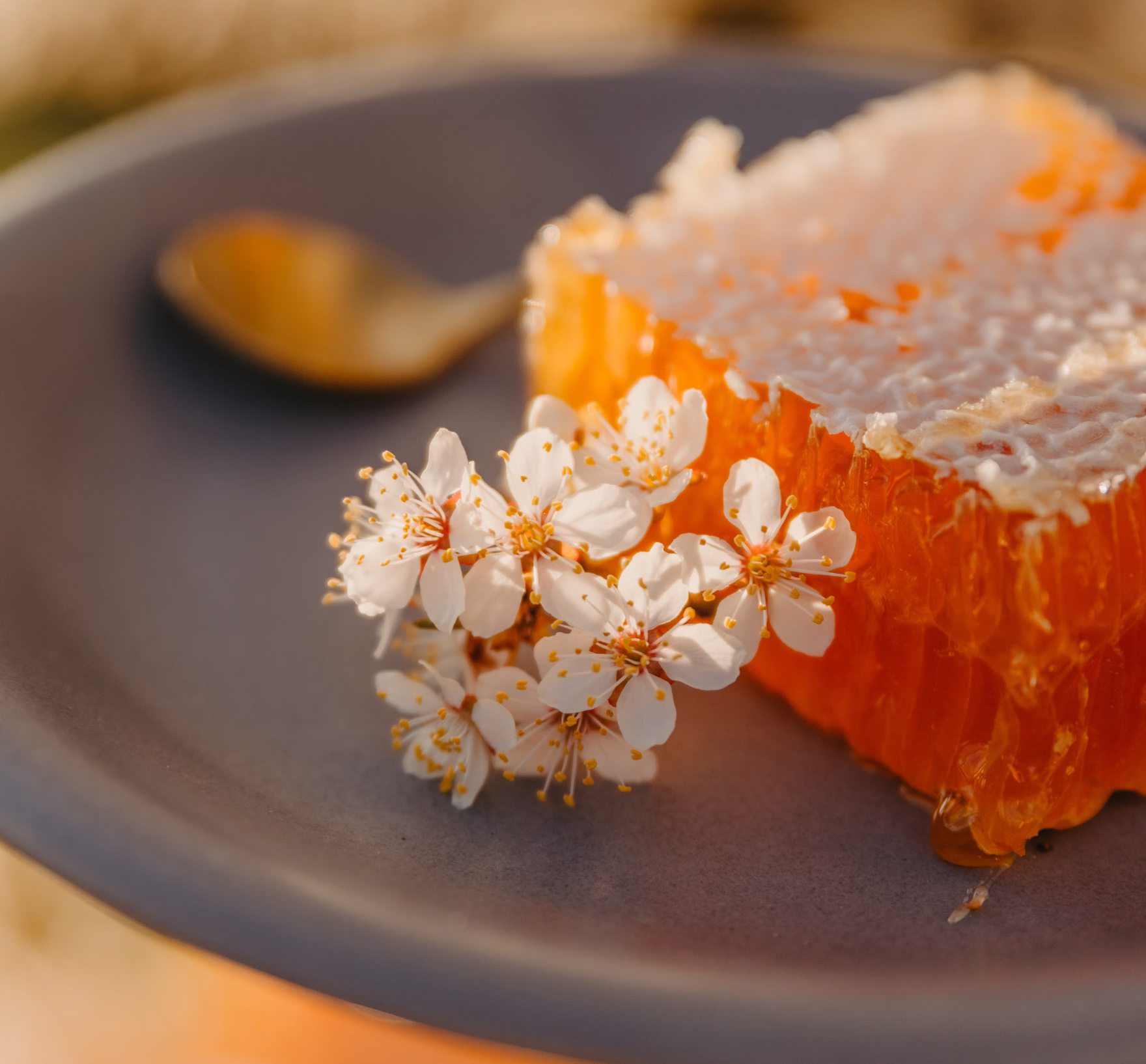 마누카꿀 먹는법