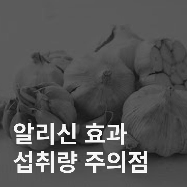 알리신 효능