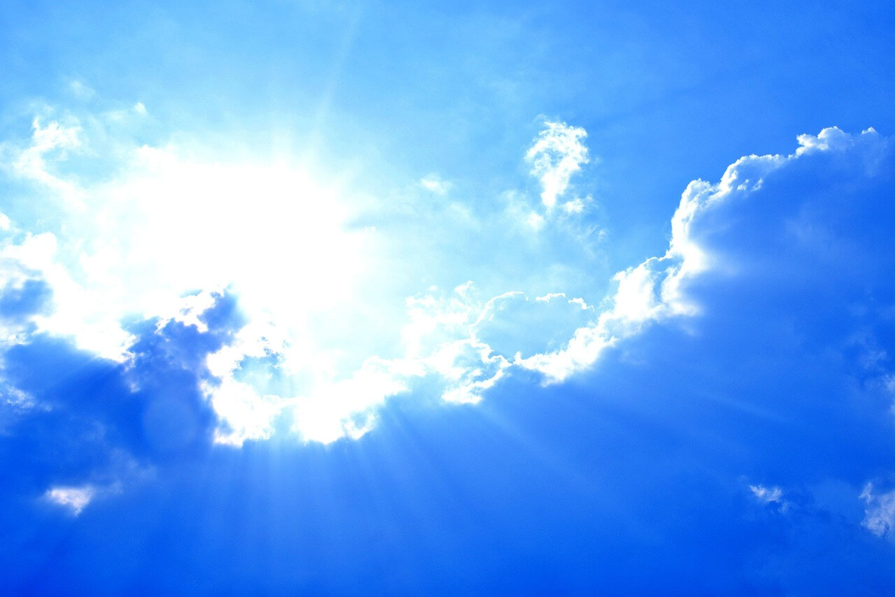 비타민D 과다복용 부작용 총정리