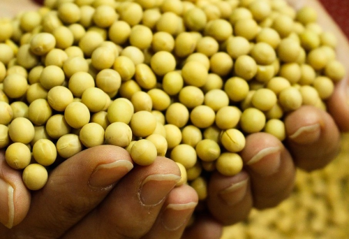 콜레스테롤 낮추는 음식