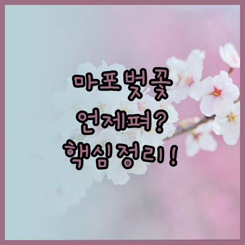 마포구 주요 벚꽃길 개화 예측과 축제..