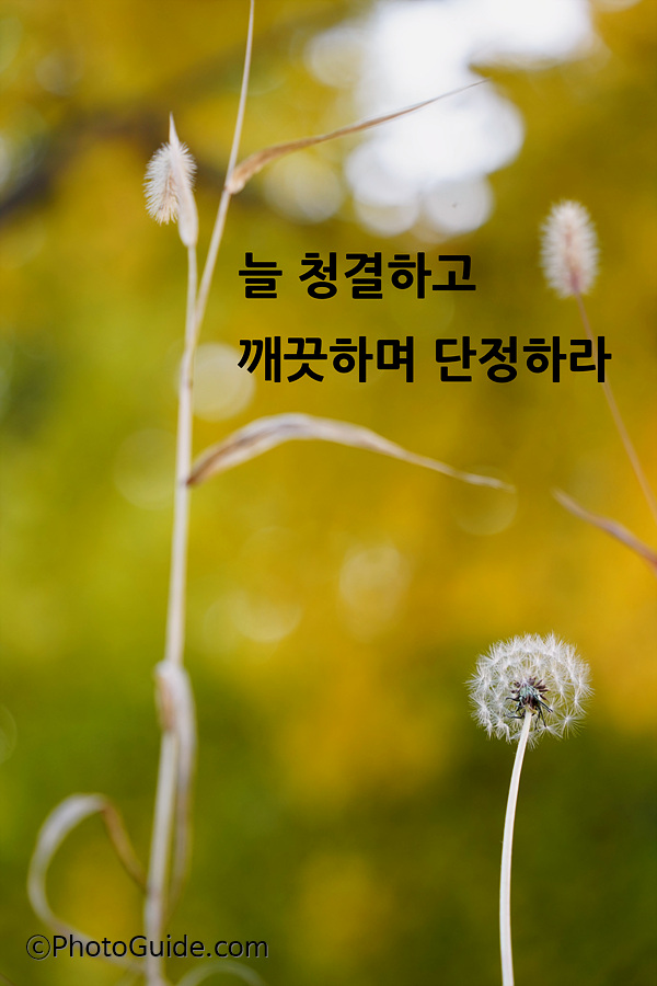 부부십계명-부부10계명