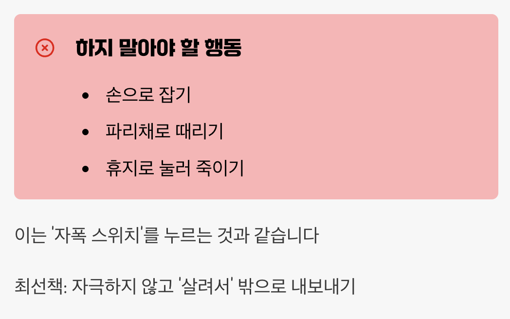 3. 절대 금물! 손으로 잡거나 때리지 마세요