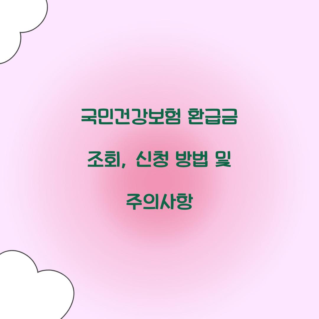 국민건강보험 환급금 조회
