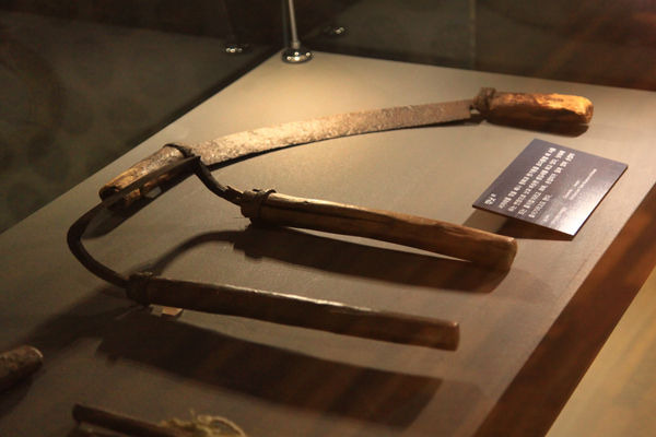 나무를 매끄럽게 다듬는 손맛, 깎낫 이야기