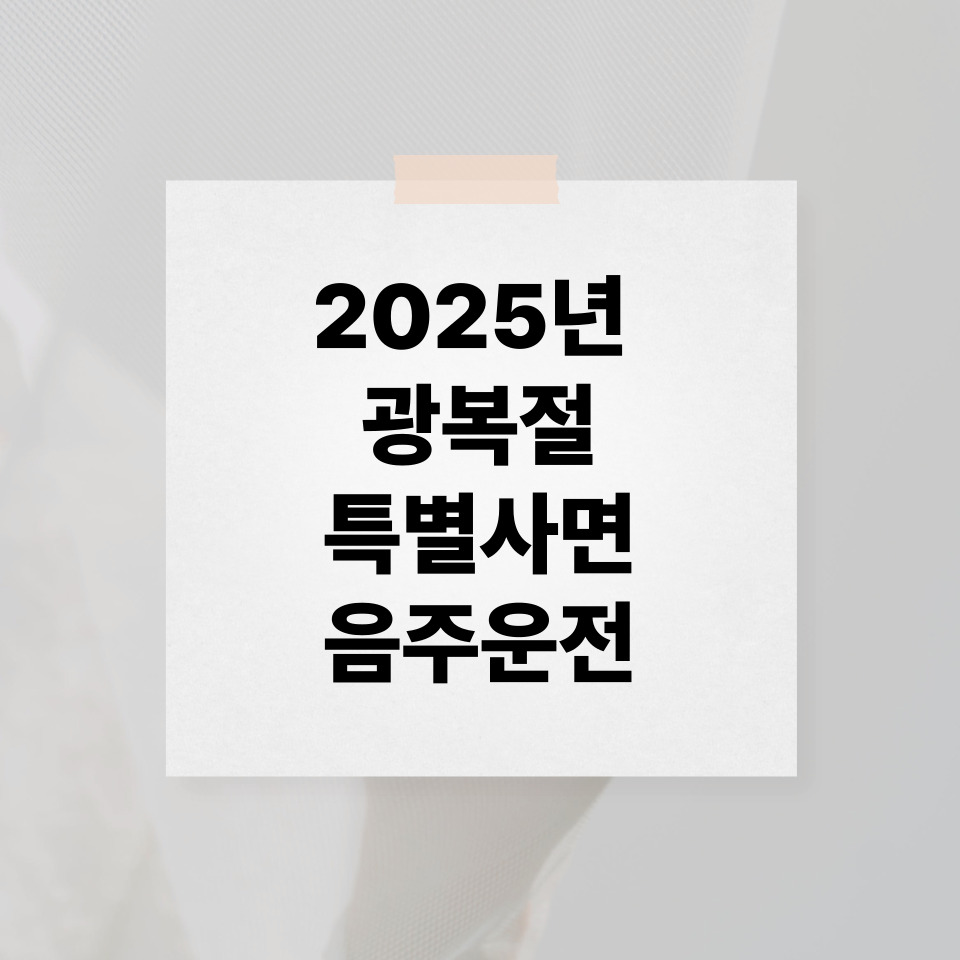 2025년 광복절 특별사면 음주운전