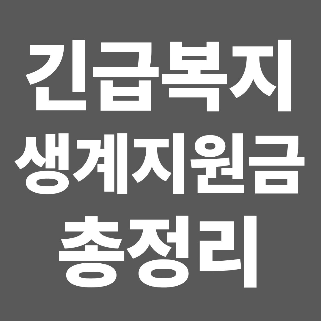 긴급복지 생계지원금을 알아보는 분들은 대부분 상황이 급합니다. 실직, 질병, 생활비 압박처럼 당장 이번 달이 막막해서 검색하는 경우가 많죠. 그런데 막상 찾아보면 대상자, 신청방법, 서류, 지급일, 부결 사유가 글마다 흩어져 있어서 더 헷갈리기 쉽습니다.

이 글은 긴급복지 생계지원금 관련 핵심 글을 한 번에 볼 수 있도록 묶은 허브글입니다. 지금 내 상황에 맞는 항목부터 바로 들어가서 확인할 수 있게 정리했으니, 급할수록 순서대로 체크해 보세요.

(버튼 넣어줘)



긴급복지 생계지원금은 보통 대상자 확인 &rarr; 신청 준비 &rarr; 서류 제출 &rarr; 지급 확인 &rarr; 부결&middot;미지급 대응 &rarr; 추가 검토 흐름으로 이해하면 쉽습니다. 이 허브글은 그 순서대로 필요한 글을 빠르게 찾을 수 있게 정리한 페이지입니다.



긴급복지 생계지원금 한눈에 보기
먼저 이 제도를 아주 짧게 정리하면 아래와 같습니다.

갑작스러운 위기 상황으로 생계가 어려워진 가구를 위한 지원
실직, 질병, 사고, 가정 위기 등과 함께 많이 검토됨
소득만이 아니라 재산, 금융재산, 가구 상황도 함께 확인
신청 후에는 지급일, 입금 지연, 부결 사유까지 같이 챙겨야 함
즉, 단순히 신청만 하면 끝나는 제도가 아니라 처음 확인부터 사후 대응까지 흐름으로 봐야 하는 제도라고 생각하면 이해가 쉽습니다.

처음이라면 대상자부터 확인하기
가장 먼저 확인할 것은 내가 대상자에 가까운 상황인지입니다. 아래에 해당하면 우선 대상자 글부터 보는 게 좋습니다.

최근 실직이나 휴업, 폐업으로 수입이 끊긴 경우
질병, 사고, 입원으로 일하기 어려운 경우
가정폭력, 돌봄 문제, 가족 위기 등으로 생활이 흔들린 경우
당장 생계유지가 어렵고 생활비 압박이 큰 경우
대상자 조건을 먼저 보면 뒤에서 신청방법과 서류를 볼 때 훨씬 덜 헷갈립니다.

긴급복지 생계지원금 대상자 총정리
신청 직전이라면 신청방법과 서류 같이 보기
신청 단계에 들어가면 가장 많이 막히는 건 아래 두 가지입니다.

어디서 신청하는지
무슨 서류를 챙겨야 하는지
이 둘은 따로 보지 말고 같이 보는 게 편합니다.

지금 궁금한 것	먼저 볼 글
어디에 문의하고 접수하는지	신청방법 글
실직&middot;질병&middot;소득감소별 준비물	서류 글
긴급복지 생계지원금 신청방법 총정리
긴급복지 생계지원금 서류 총정리


(구글 광고 넣어줘)



신청했다면 지급일과 입금 안될 때 보기
신청 후에는 보통 아래 순서로 궁금해집니다.

언제 입금되는지
왜 아직 안 들어오는지
어디에 문의해야 하는지
이 단계에서는 막연히 기다리기보다 진행 상태를 확인하는 게 중요합니다.

접수만 된 상태인지
추가 서류 요청이 있었는지
지원 결정이 났는지
계좌 정보가 정확한지
긴급복지 생계지원금 지급일 총정리
긴급복지 생계지원금 입금 안될 때 확인하기
안 됐거나 애매하면 재산 기준과 부결 사유 보기
긴급복지 생계지원금은 소득만 맞으면 되는 구조가 아니라서, 아래 항목에서 많이 갈립니다.

재산 기준
금융재산 기준
가구 판단
위기 사유 설명 부족
서류 누락
헷갈리는 상황	먼저 볼 글	핵심 체크
통장잔고&middot;자동차&middot;보증금이 걸릴 것 같을 때	재산 기준 글	일반재산, 금융재산, 차량
신청했는데 왜 안 됐는지 모르겠을 때	부결 사유 글	위기 사유, 소득, 서류, 가구
긴급복지 생계지원금 재산 기준 총정리
긴급복지 생계지원금 부결 사유 총정리
다른 지원을 받고 있다면 중복 수급 보기
이미 다른 지원을 받고 있는 분들은 이 부분이 특히 중요합니다.

실업급여
기초생활보장
한부모 지원
지자체 생활안정지원
중복 수급은 단순히 된다, 안 된다보다 지원 목적이 겹치는지를 보는 경우가 많아서 따로 확인하는 게 안전합니다.

긴급복지 생계지원금 중복 수급 총정리


(구글 광고 넣어줘)



한 번 받았다면 연장 가능 여부 보기
지원을 이미 받았는데도 아직 생활이 안정되지 않았다면 연장 가능 여부를 확인해야 합니다.

실직 상태가 계속되는 경우
질병이나 치료가 길어지는 경우
다른 제도로 바로 연결되지 않는 경우
생활비 공백이 계속되는 경우
이 경우는 &ldquo;한 번 받고 끝&rdquo;이라고 단정하지 말고 현재 위기 상황이 계속되는지 기준으로 다시 보는 게 좋습니다.

긴급복지 생계지원금 연장 가능 여부 총정리
상황별로 이렇게 보면 더 빠릅니다
지금 내 상황에 따라 아래 순서로 보면 훨씬 덜 헤맵니다.

현재 상황	먼저 볼 글 순서
처음 알아보는 중	대상자 &rarr; 신청방법 &rarr; 서류
이미 신청함	지급일 &rarr; 입금 안될 때
결과가 애매하거나 안 됨	재산 기준 &rarr; 부결 사유
다른 지원을 받고 있음	중복 수급
한 번 받았는데 아직 어려움	연장 가능 여부
자주 묻는 질문
Q1. 긴급복지 생계지원금은 어디서부터 보면 되나요?

처음이라면 대상자 글부터 보는 게 가장 좋습니다. 그다음 신청방법과 서류 순서로 보면 흐름이 가장 자연스럽습니다.

Q2. 신청했는데 아직 입금이 안 되면 뭘 봐야 하나요?

지급일 글과 입금 안될 때 글을 같이 보는 게 좋습니다. 진행 단계, 계좌 정보, 서류 보완 여부를 함께 확인할 수 있습니다.

Q3. 부결됐으면 다시 볼 필요가 있나요?

네, 재산 기준과 부결 사유 글을 같이 보면 어디에서 걸렸는지 훨씬 명확해집니다. 그냥 포기하기보다 구조적으로 다시 보는 게 좋습니다.

Q4. 다른 지원금을 받고 있어도 확인해볼 만한가요?

그렇습니다. 다만 중복 여부는 지원 목적과 현재 가구 상황을 함께 보는 경우가 많아서 중복 수급 글을 따로 확인하는 게 좋습니다.

Q5. 생활이 아직 어렵다면 추가 지원도 가능한가요?

상황에 따라 연장 검토가 가능한 경우가 있습니다. 그래서 한 번 받고 끝이라고 단정하지 말고 연장 가능 여부 글을 확인해보는 것이 좋습니다.

마무리 정리하기
긴급복지 생계지원금은 정보를 따로따로 보면 더 복잡하게 느껴질 수 있습니다. 그래서 대상자, 신청방법, 서류, 지급일, 재산 기준, 부결 사유, 중복 수급, 연장 여부를 한 흐름으로 묶어 보는 게 훨씬 낫습니다.

지금 내 상황이 처음 확인 단계인지, 신청 후 대기 단계인지, 부결 이후 재확인 단계인지에 따라 먼저 봐야 할 글이 달라집니다. 괜히 여러 글을 오가며 더 지치지 말고, 이 허브글에서 필요한 항목부터 하나씩 들어가 보세요.