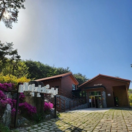 치유의 숲