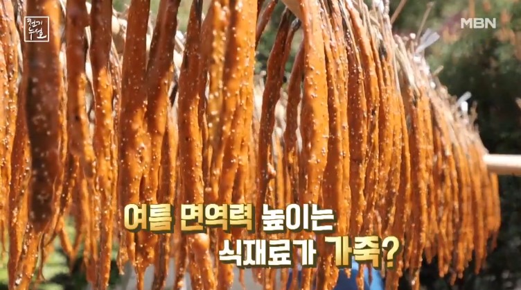 천기누설 가죽나무 썸네일