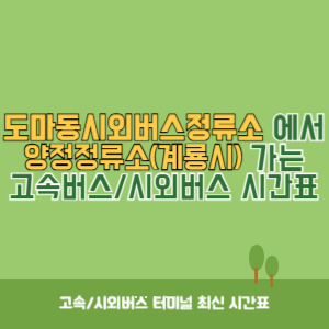 도마동시외버스정류소에서 양정정류소(계룡시) 가는 시외버스 시간표 최신정보