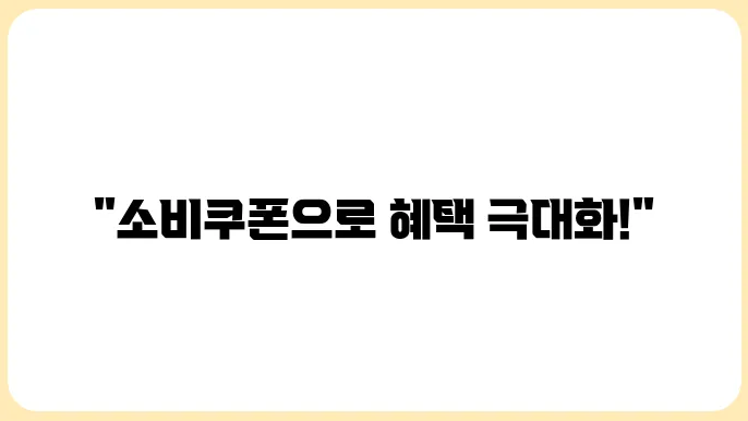 민생회복 소비쿠폰 한눈에 알아보인 신청 가이드