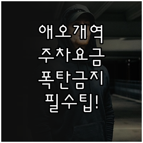 마포 애오개역 주변 유료 주차장 요금..