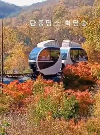 화담숲 초행자를 위한 완벽 가이드