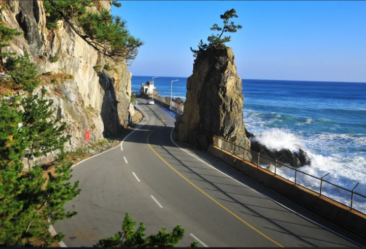 울진군-촛대바위