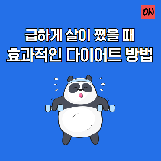 급하게 살이 쪘을 때 효과적인 다이어트 방법