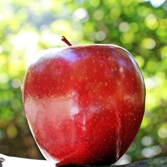 변비에 좋은 과일