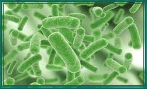 임신 중 질염 생기는 이유 10가지