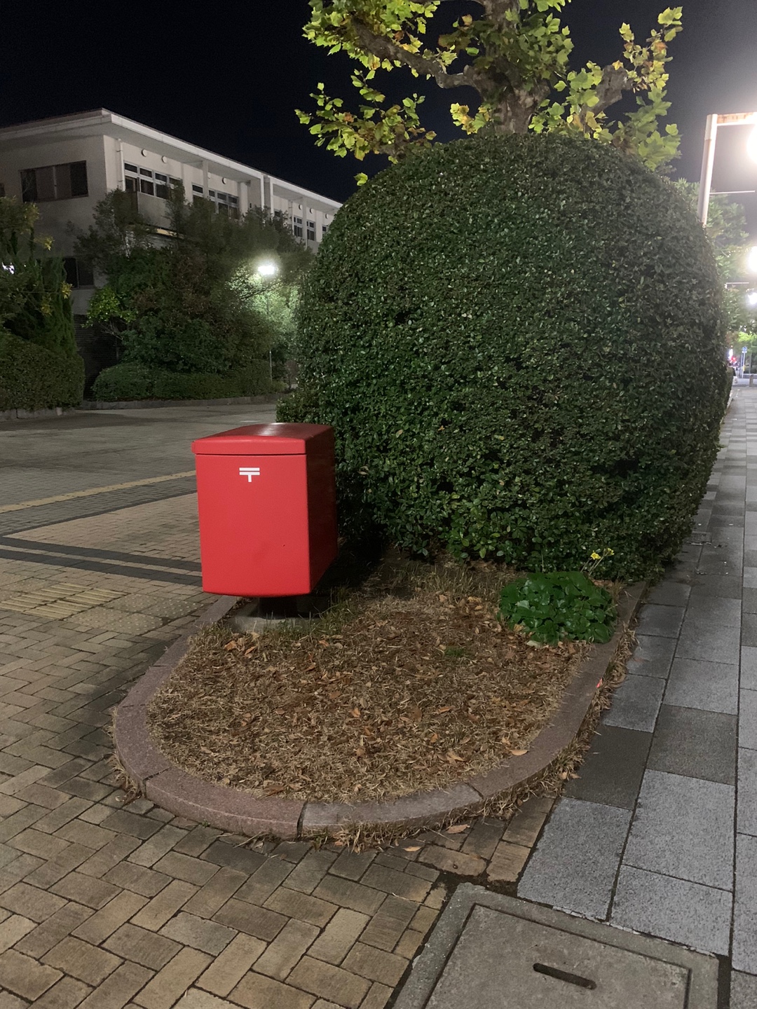 신우라야스역셔틀