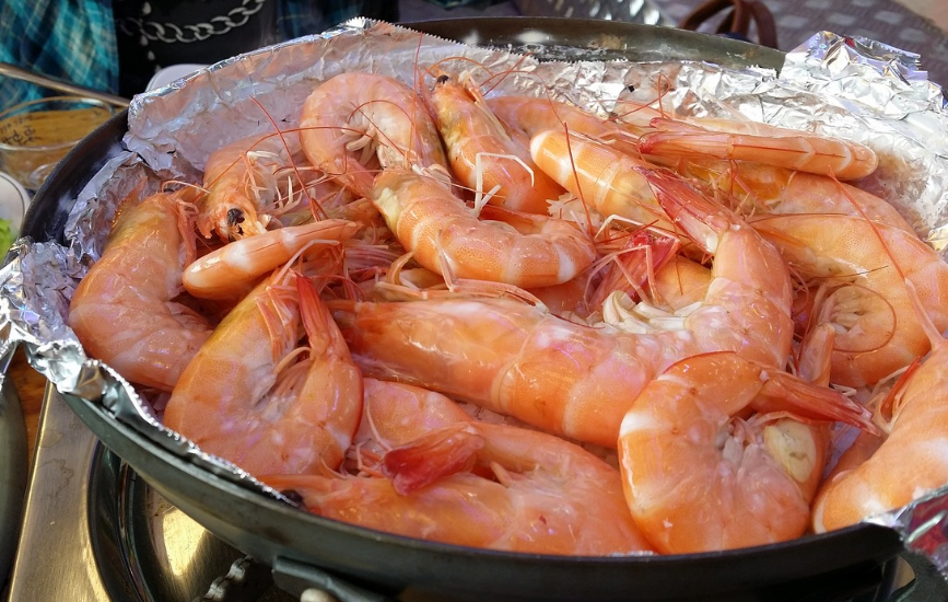 새우-비브리오패혈증