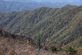 국립자연휴양림