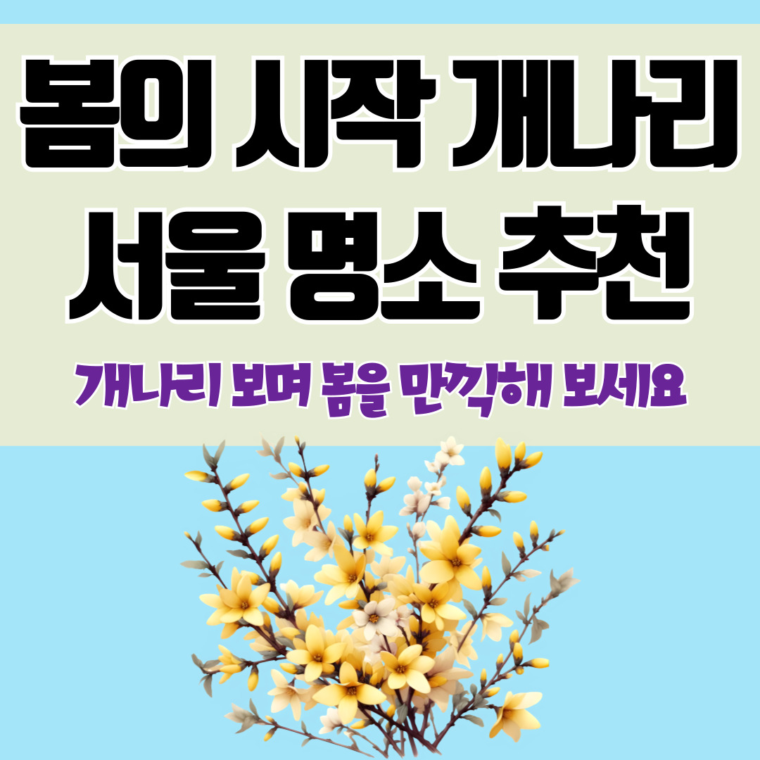 개나리 서울 명소 추천
