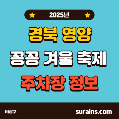 2025 영양 꽁꽁 겨울 축제 여행 주차장 정보