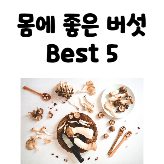 몸에 좋은 버섯 best5, 버섯 추천