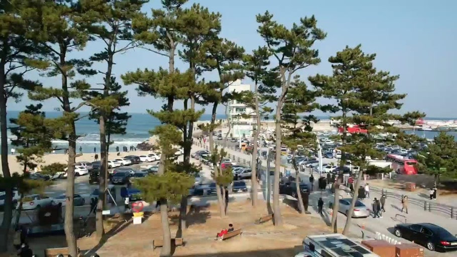 2025 대한민국 숙박 세일 페스타, 강릉여행 관련 사진