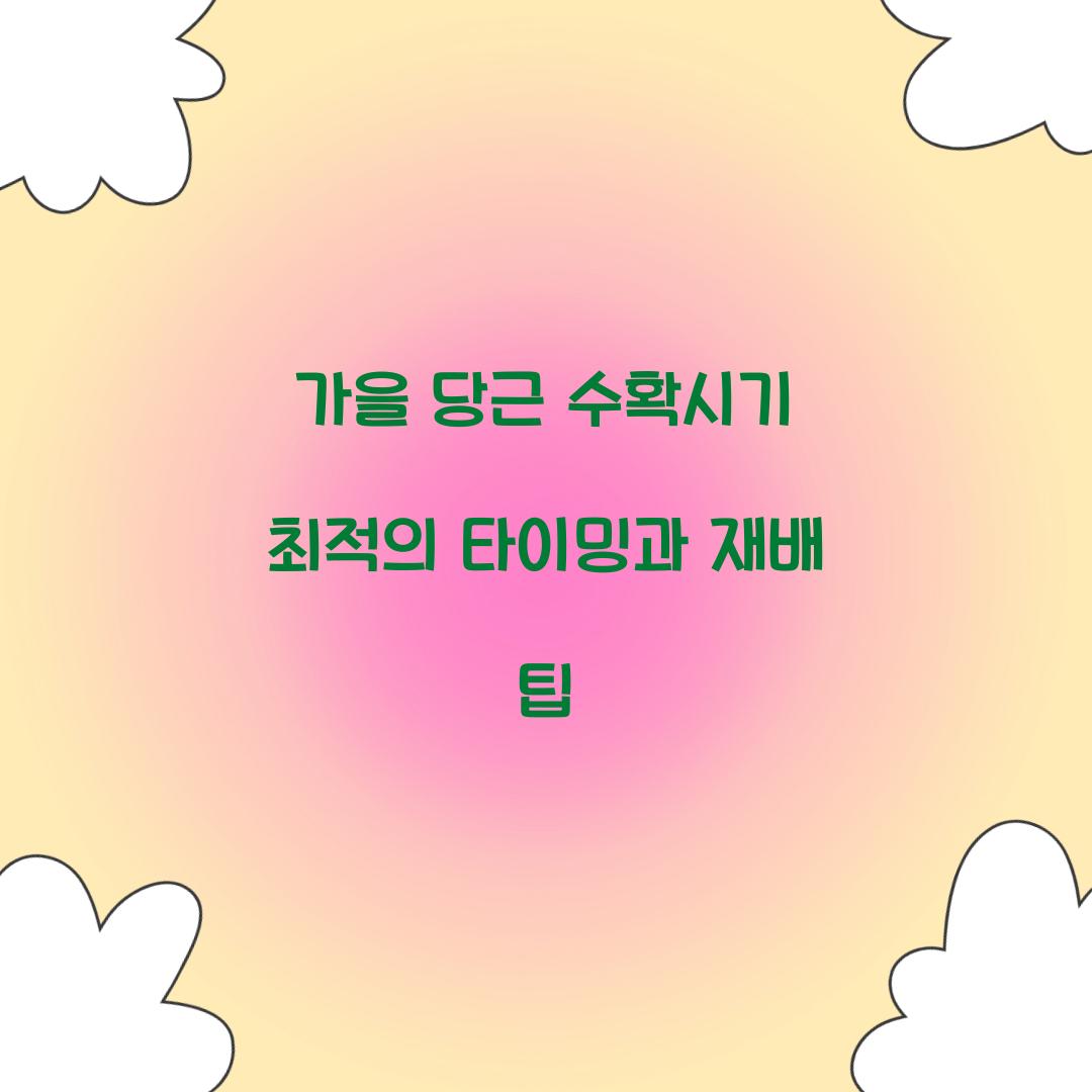 가을 당근 수확시기