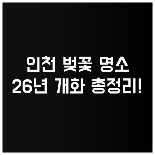 인천 벚꽃 명소 특징과 2026년 예..