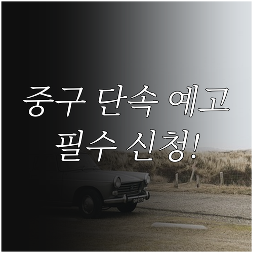 중구 주정차 단속 예고 문자 서비스 ..