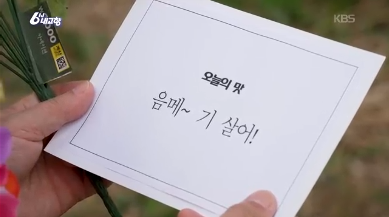 6시내고향 k맛있을지도