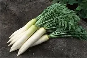 무