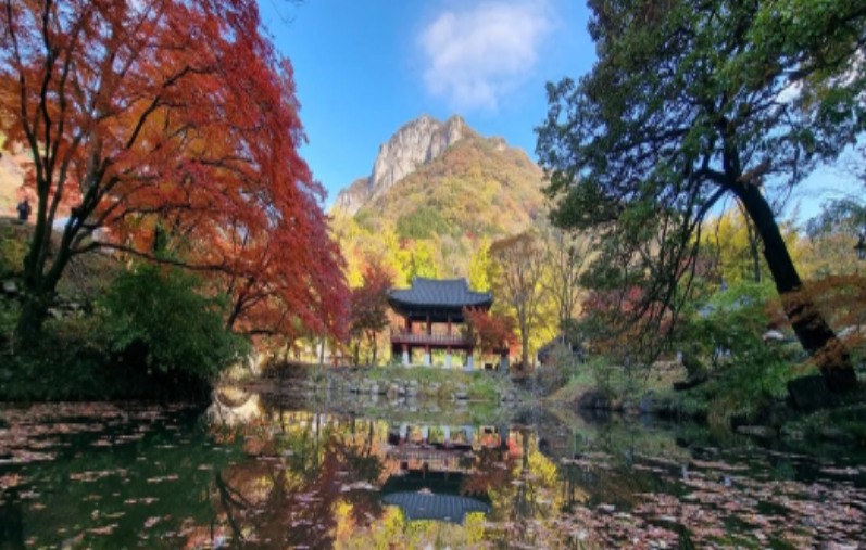 백양사 템플스테이 휴식형 체험형 프로그램&amp;#44; 예약 방법&amp;#44; 후기 총정리