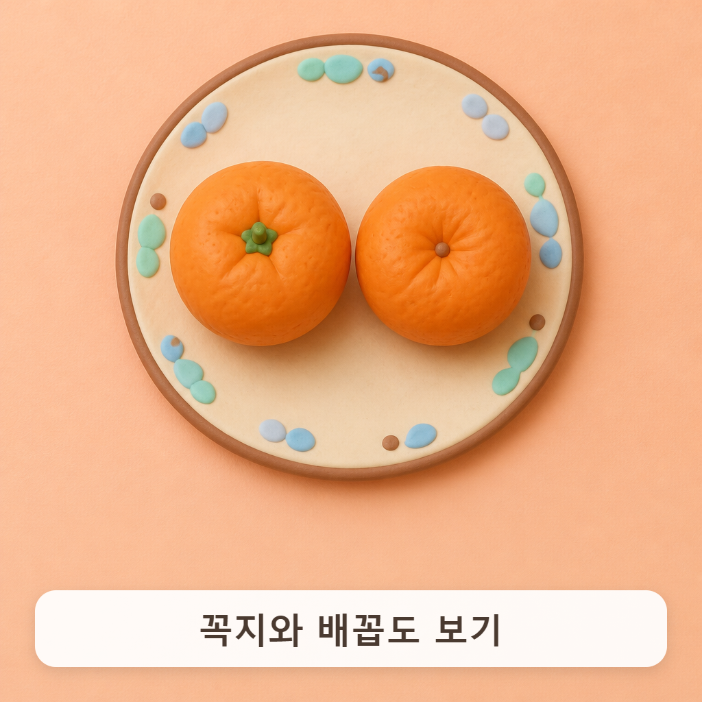 꼭지가 달린 귤과 배꼽 쪽 귤을 나란히 놓은 접시