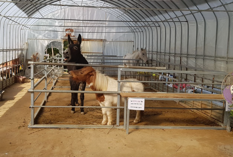 덕평 공룡수목원