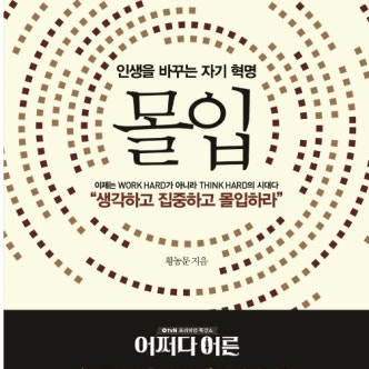 몰입