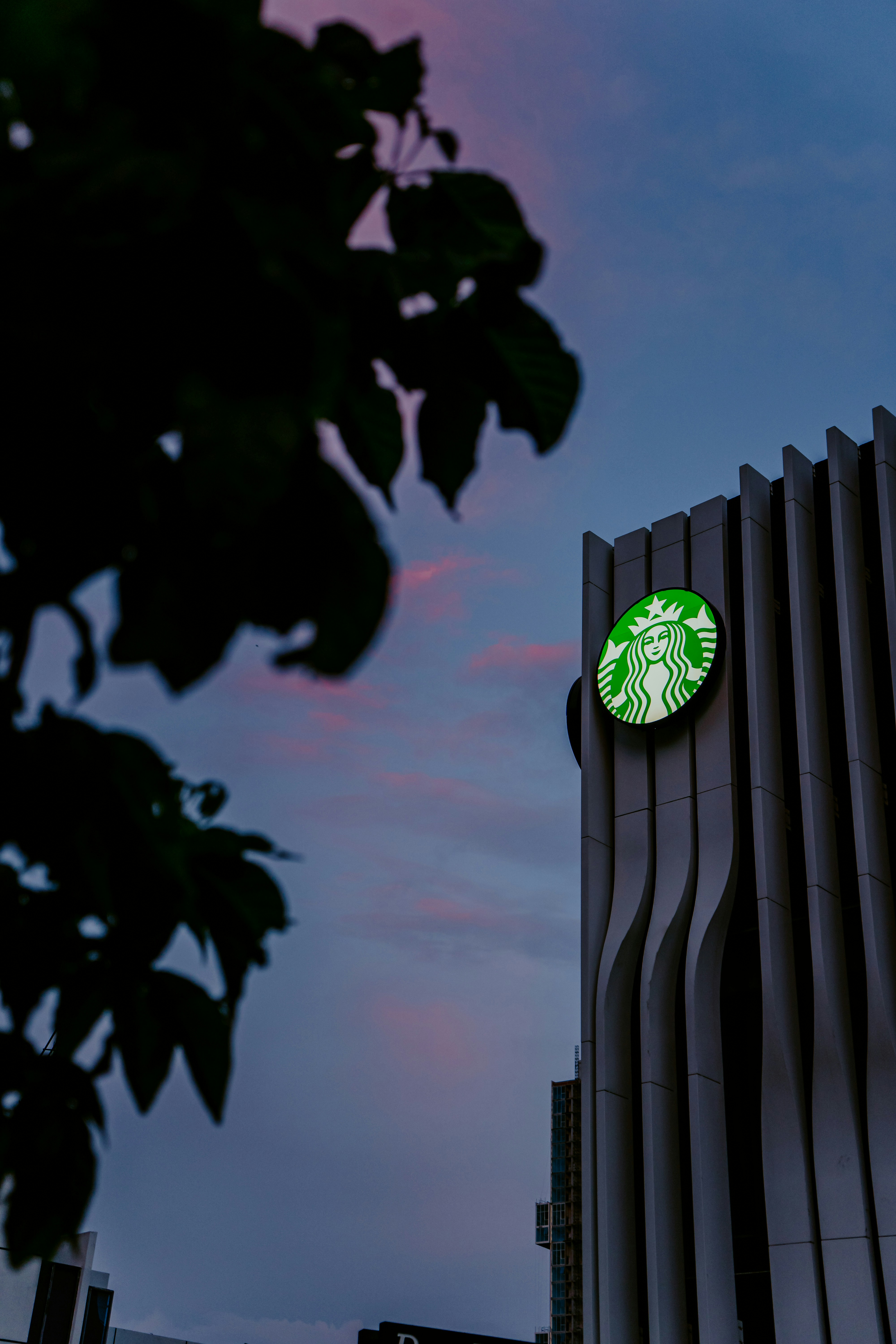 스타벅스의 지역적인 브랜딩 전략